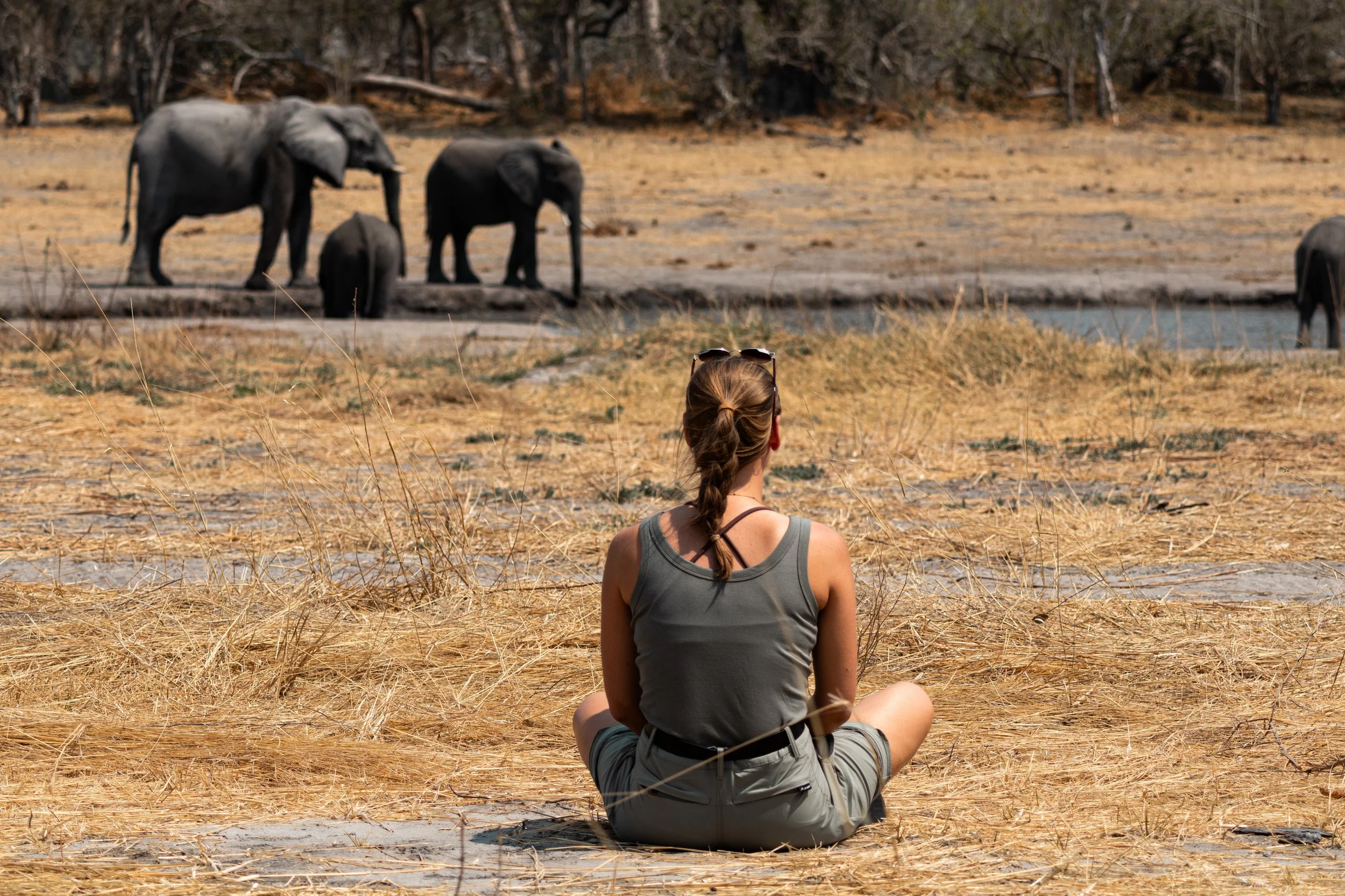 Reiziger observeert een kudde olifanten bij een waterpoel op safari