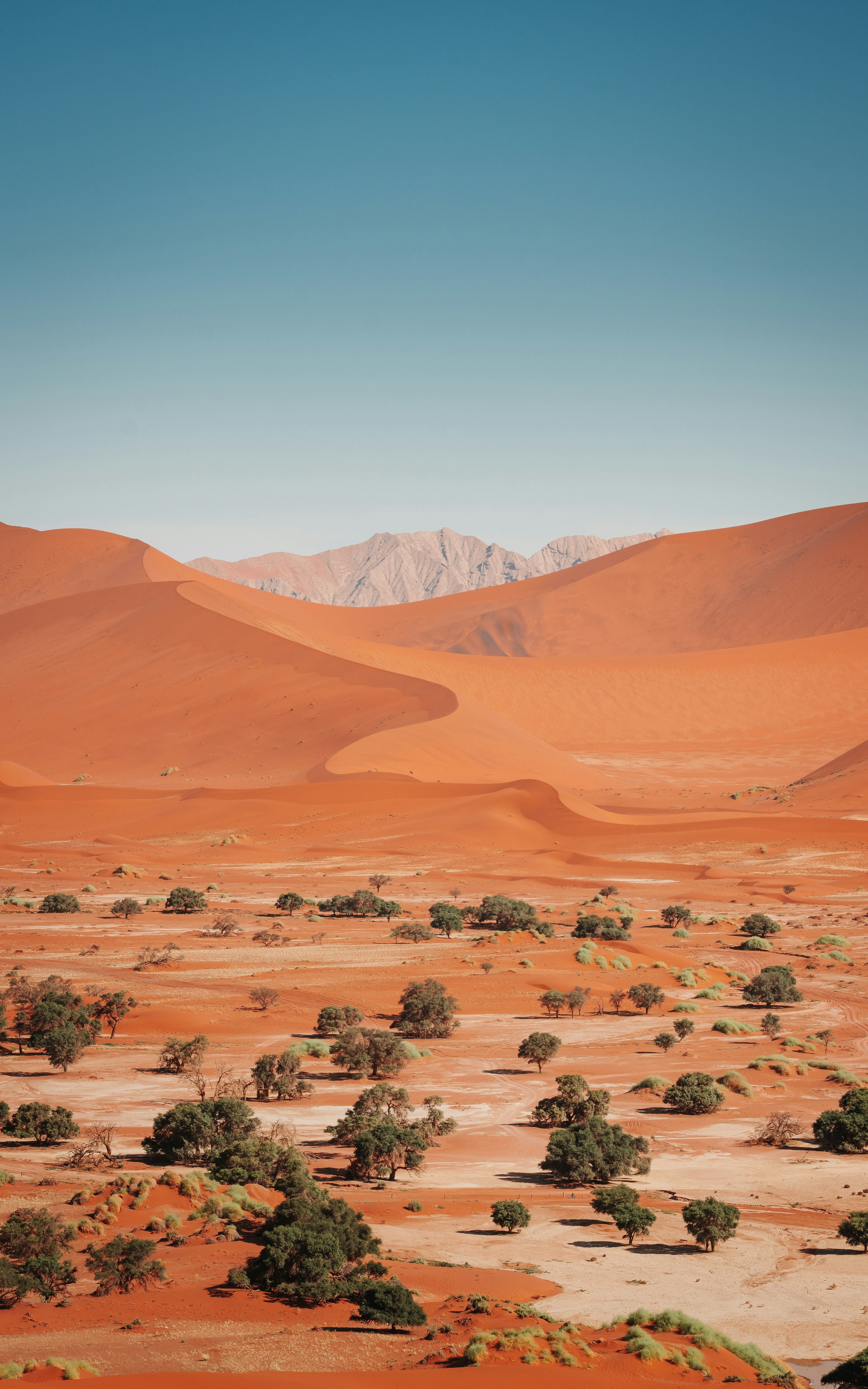 Weids woestijnlandschap met rode duinen in Namibië