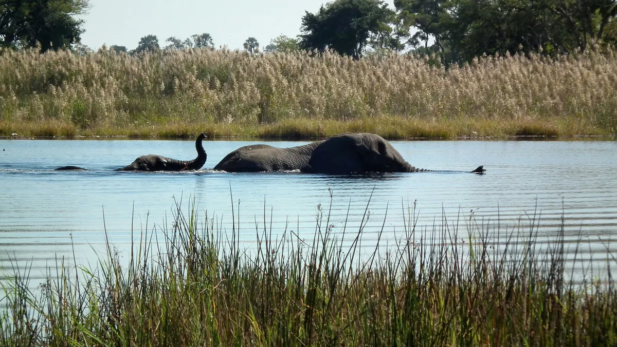 Botswana — reisindruk
