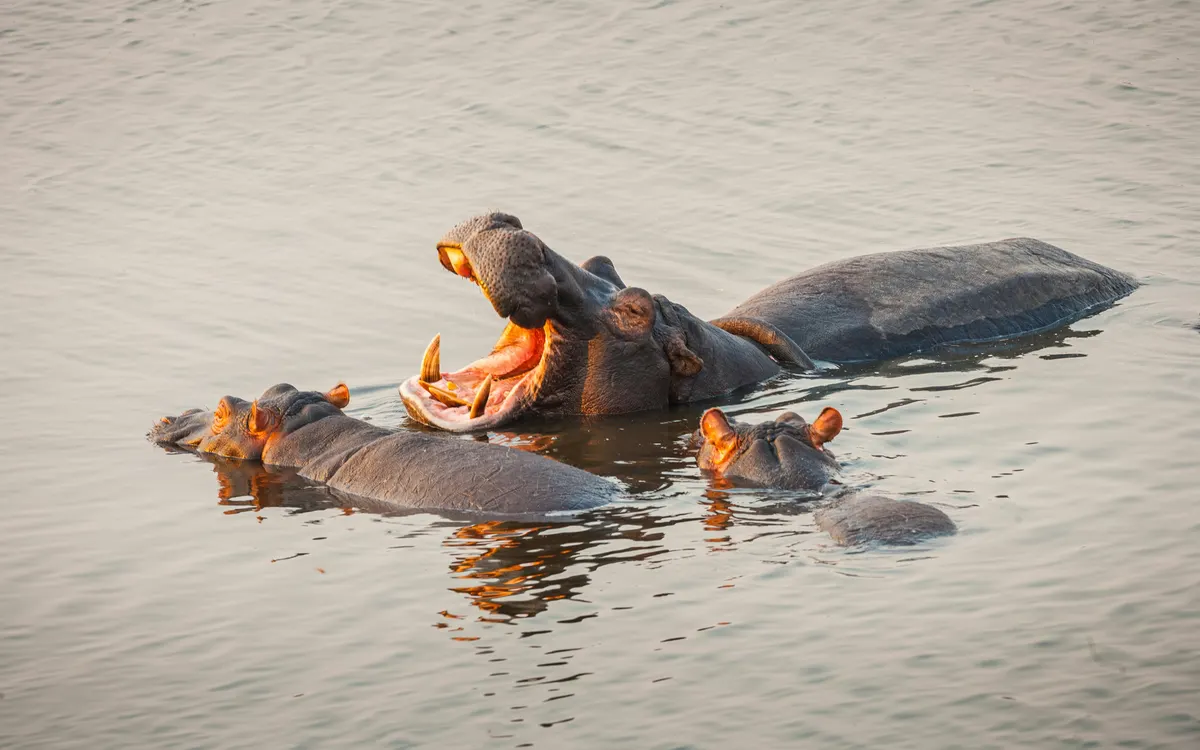Botswana — reisindruk