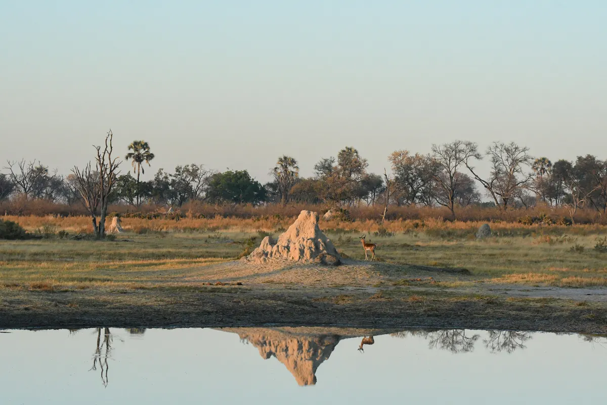 Botswana — reisindruk