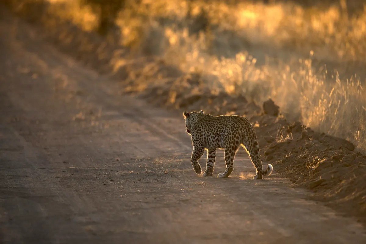 Botswana — reisindruk