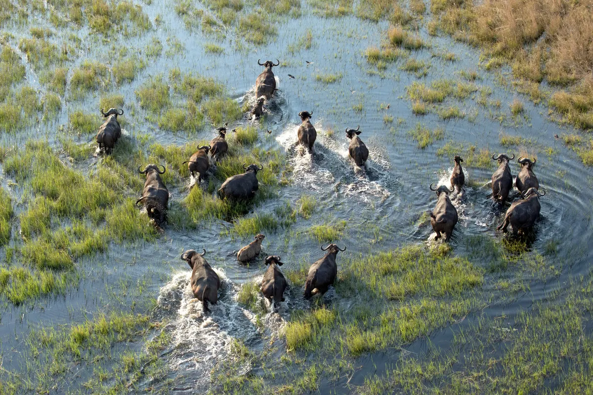 Botswana — reisindruk