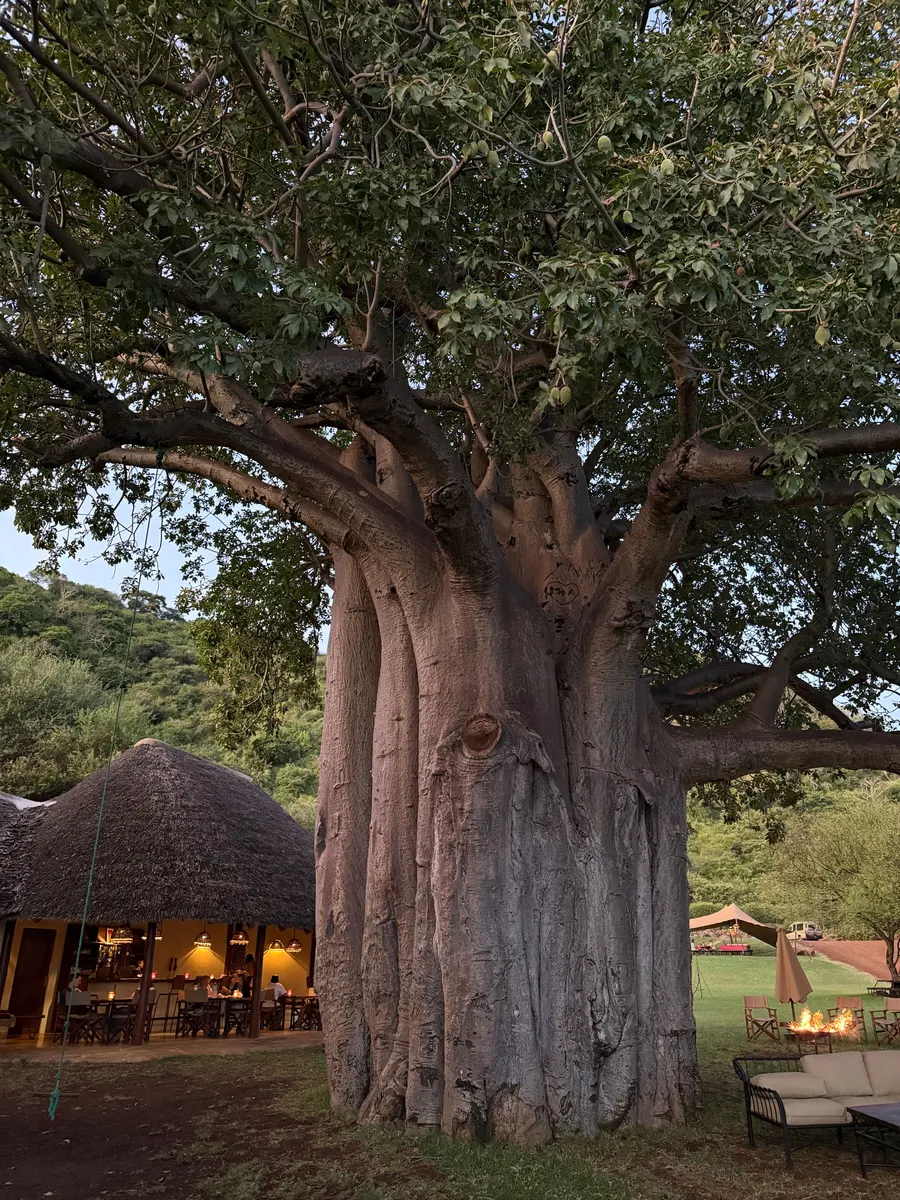 Botswana — reisindruk