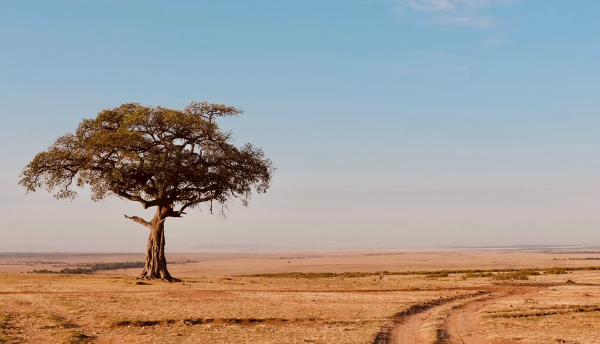 Botswana — reisindruk