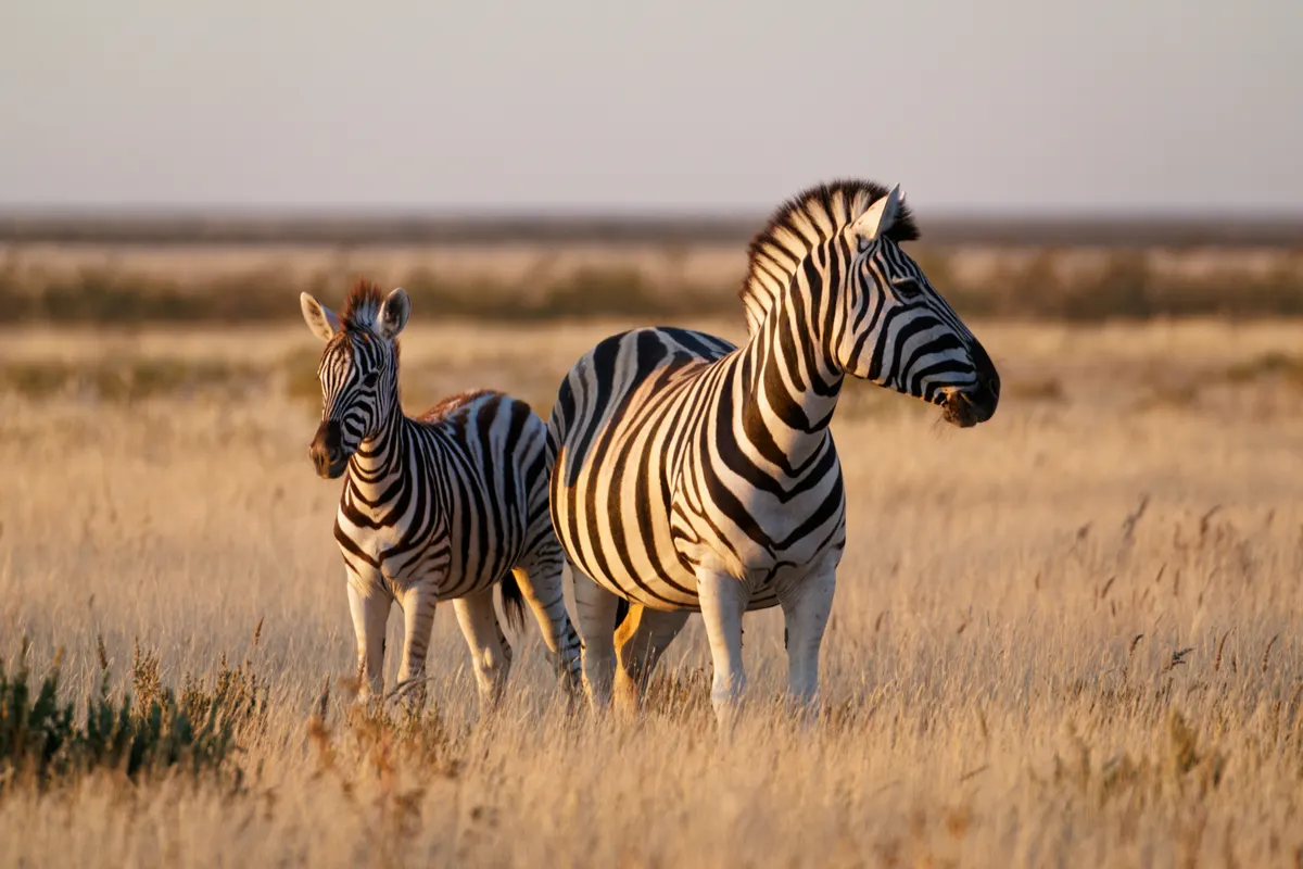 Namibië — reisindruk