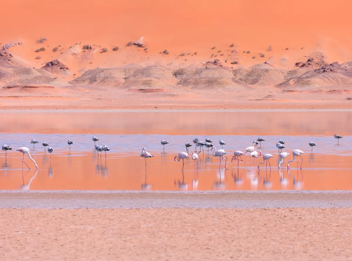 Namibië — reisindruk