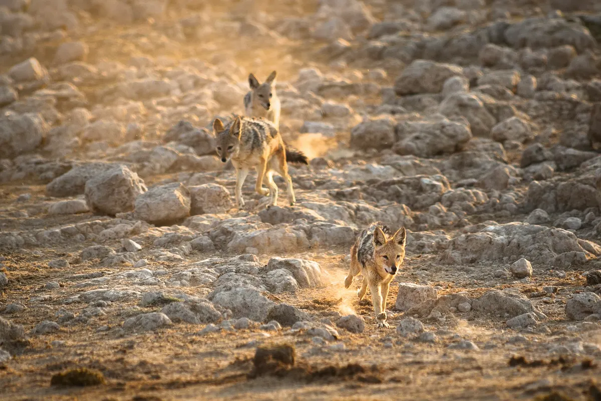 Namibië — reisindruk