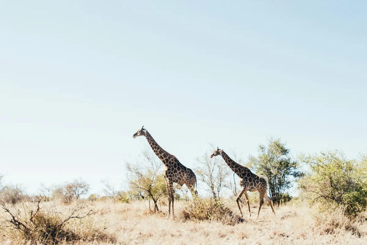 Namibië — reisindruk