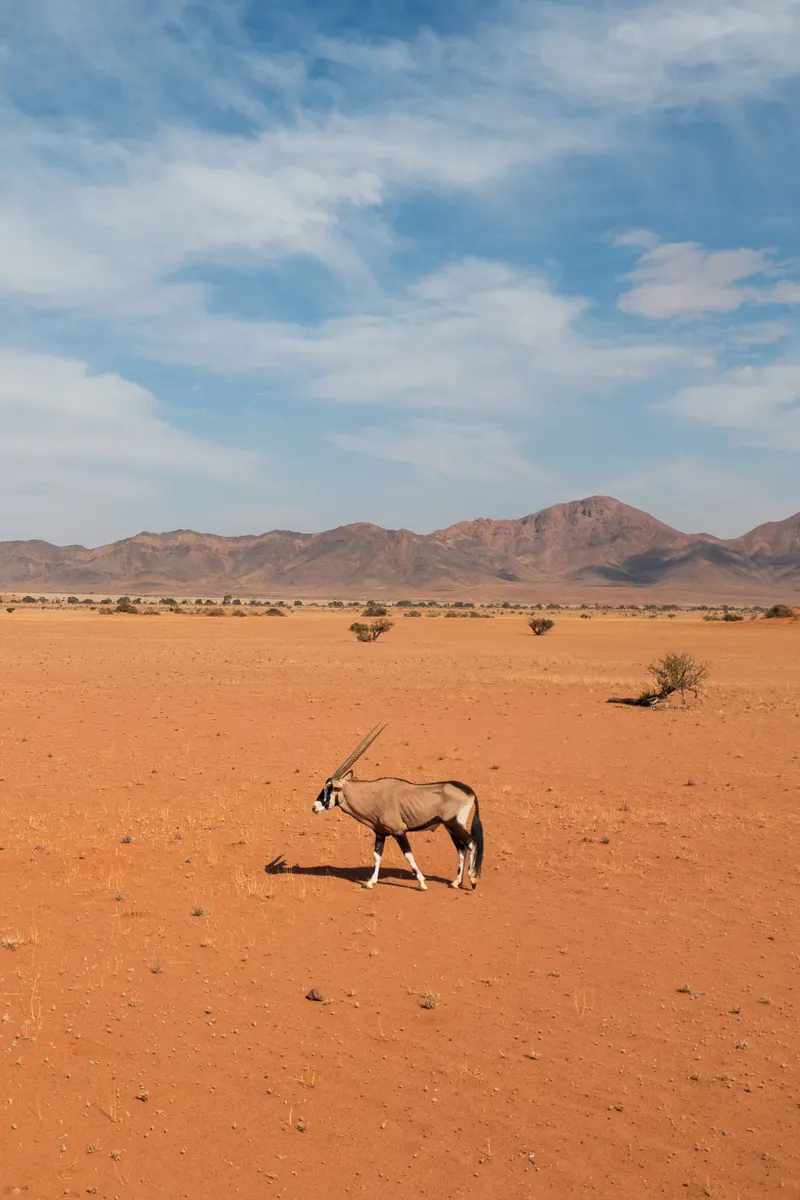 Namibië — reisindruk