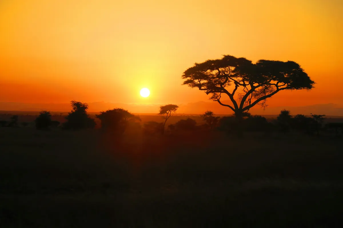 Zuid-Afrika — reisindruk