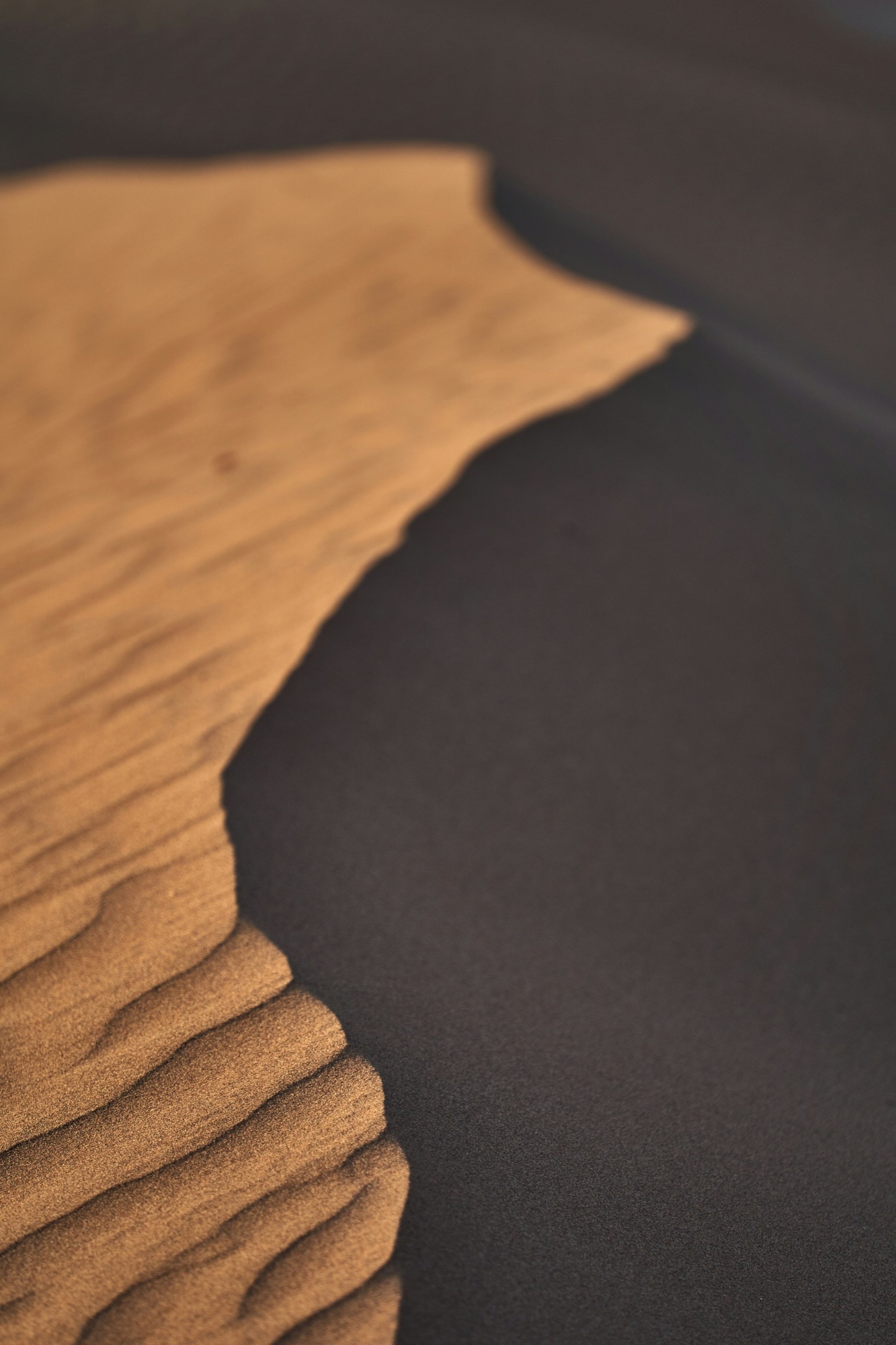 Zandrug van een duin in de Namibwoestijn in Namibië, in licht en schaduw